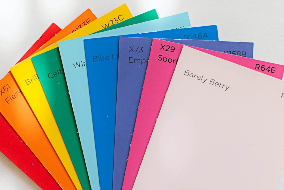 Brand Identity